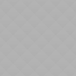 Dining Room + Kitchen